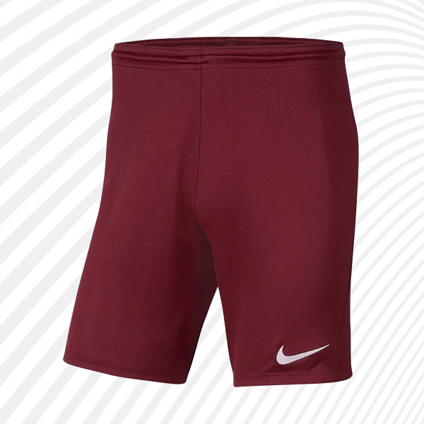 Nike Team Shorts